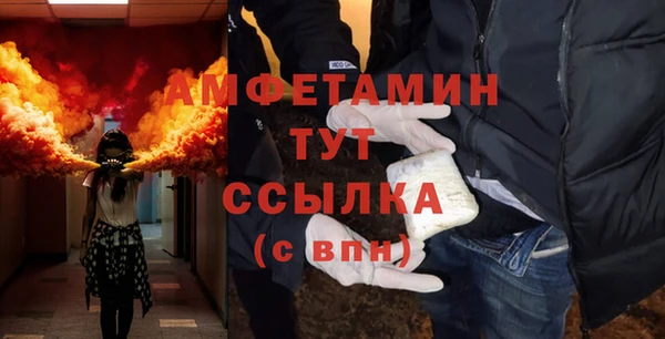 гидра Горно-Алтайск